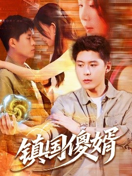 镇国傻婿(全集)